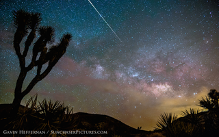 Illustration for article titled Camelopardalids over Joshua Trees
